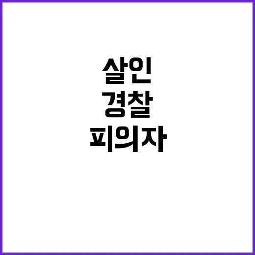 살인, 피의자의 충…