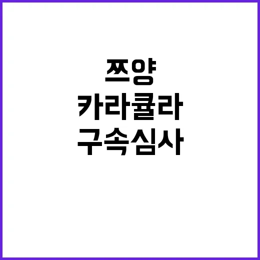 쯔양 공갈, 카라큘…