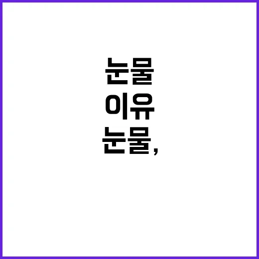 삐약이의 눈물, 그…