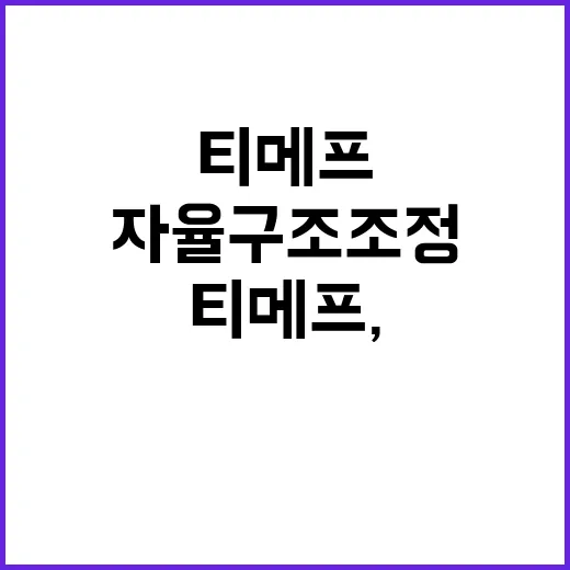 티메프, 자율 구조조정 승인…한 달 남았다!