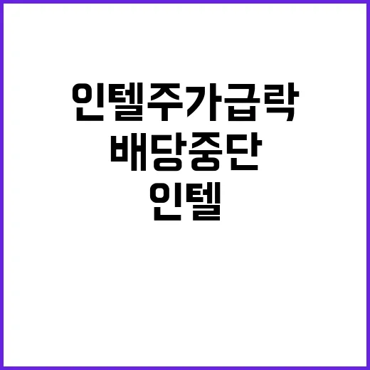 인텔 주가 급락, 감축·배당 중단 충격 지속!