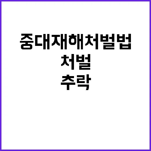 유리창 청소 남성 …