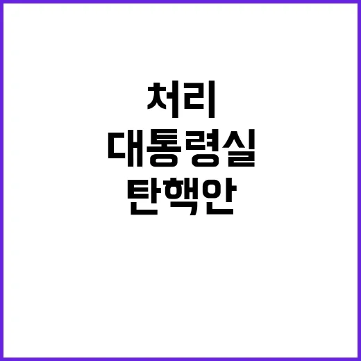 탄핵안 처리, 대통…