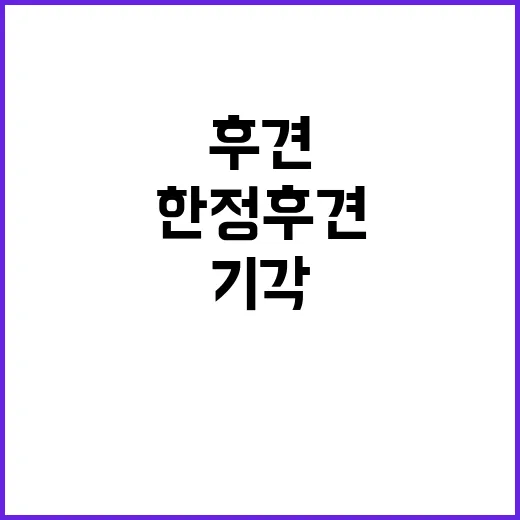 ‘한정후견’ 기각……