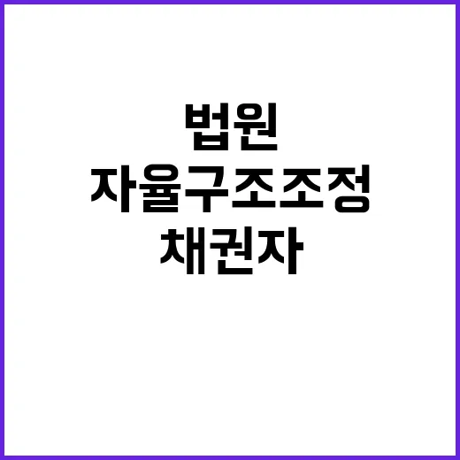 채권자 자율 구조조정, 법원 한 달 기회 제공!