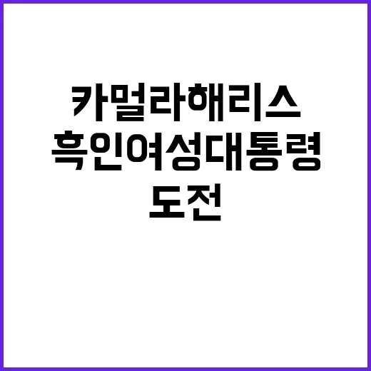 카멀라 해리스, 역사적 첫 흑인 여성 대통령 도전!