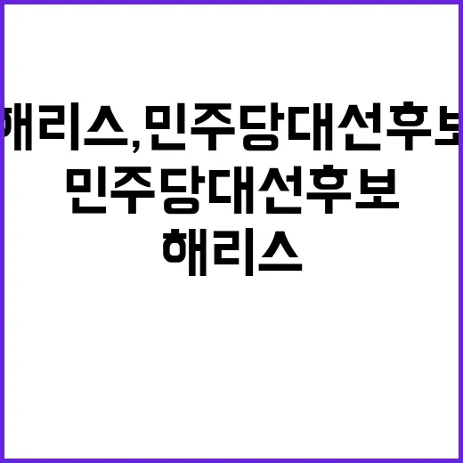 해리스, 민주당 대…