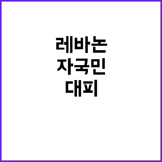 레바논, 미국·영국 자국민 긴급 대피 권고!