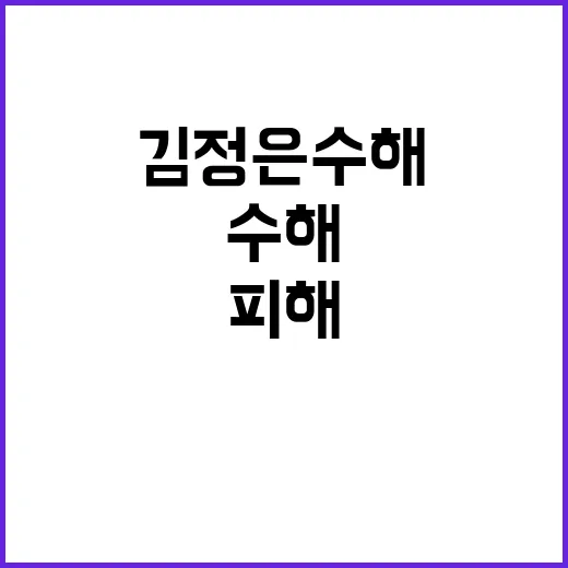 김정은 수해, 인명…