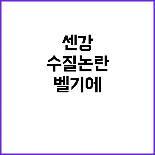 센강 수질논란, 벨기에 팀 기권의 충격적 이유!