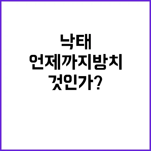 낙태 보완 입법, 언제까지 방치할 것인가?