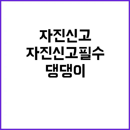 가족, 댕댕이 보호…