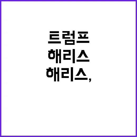 트럼프, 폭스 채널…