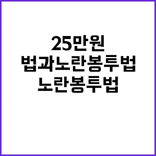 법, 경제 파탄의 원인인 25만원법과 노란봉투법!