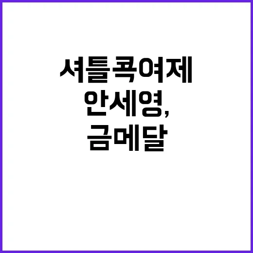 ‘셔틀콕 여제’ 안…