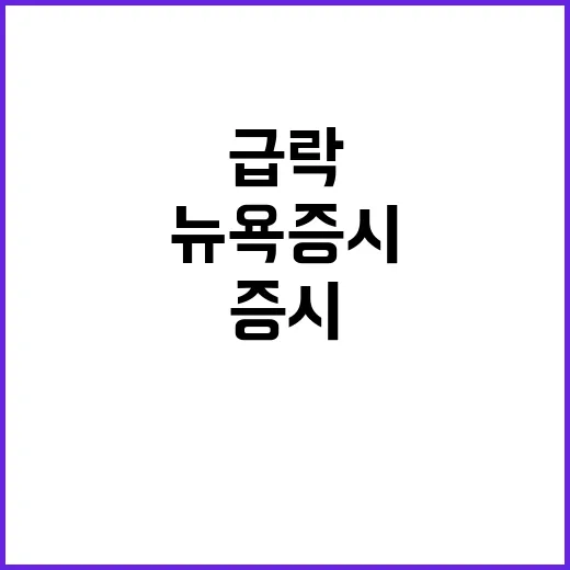 세계 금융시장, 뉴…