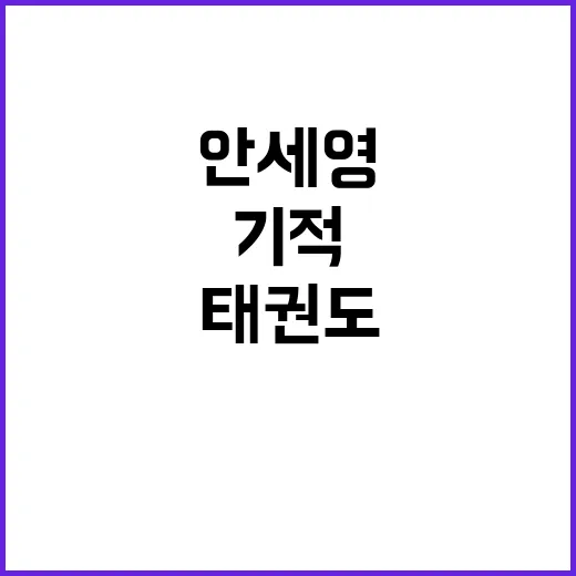 기적의 순간, 안세…