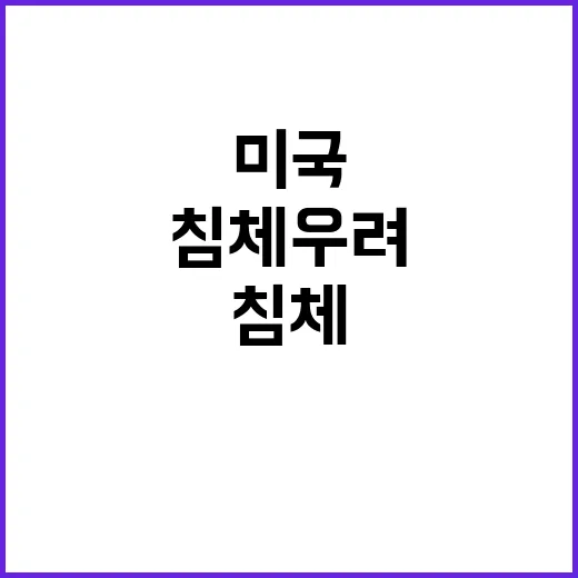 삼성전자, 미국 침…