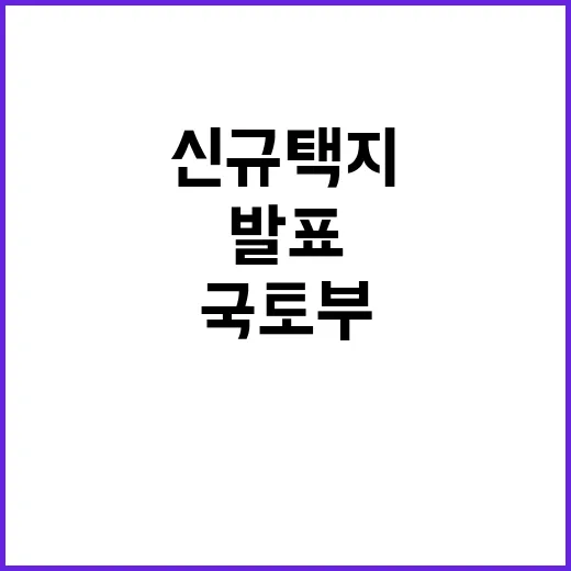 신규택지 발표, 국토부의 놀라운 진실 공개!