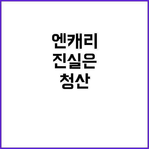 엔캐리 청산, 진실…