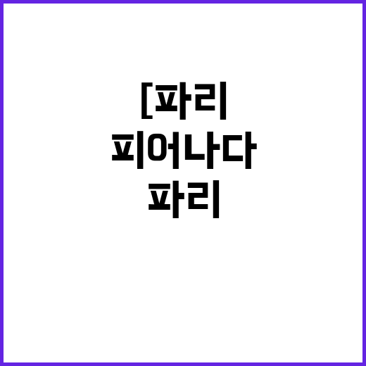 [파리] 화려한 순…