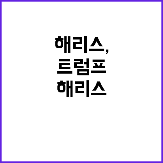 해리스, 트럼프 반…