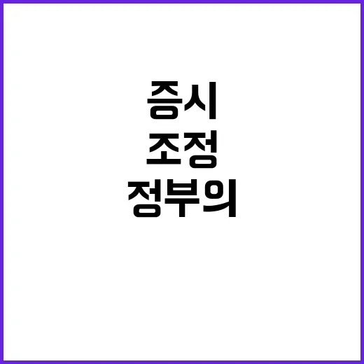 증시 조정, 정부의…