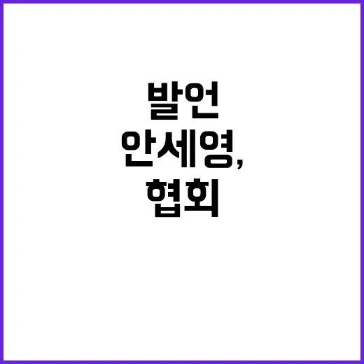 안세영, 은퇴 아닌…