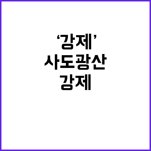 사도광산 전시, 일…