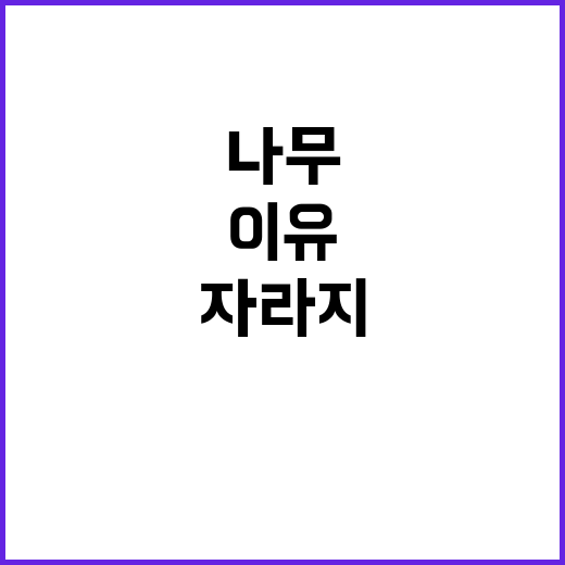 월가의 나무, 하늘…