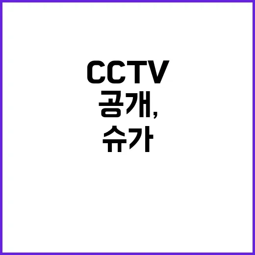 빅히트 CCTV 공…