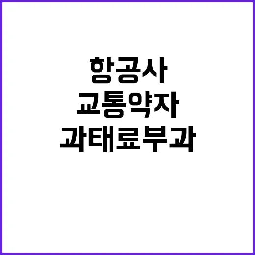 교통약자 보호, 항공사 7곳에 과태료 부과!