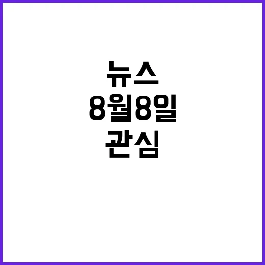 8월 8일 '뉴스 9', 시청자들의 관심을 끌다!