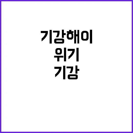 군 정보라인, 기강 해이와 위기 상황 대처 필요!