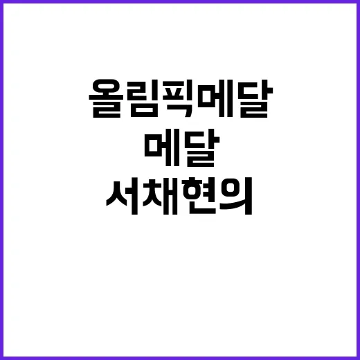 올림픽 메달, 서채…