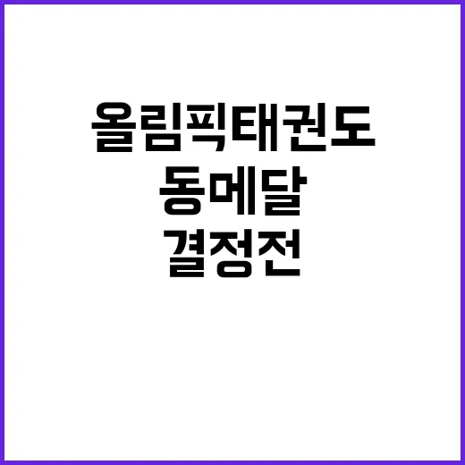 올림픽 태권도 서건…