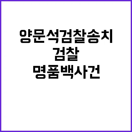 명품백 사건 최재영…