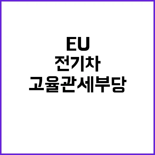 중국산 전기차 EU 고율 관세 부당 WTO 제소!