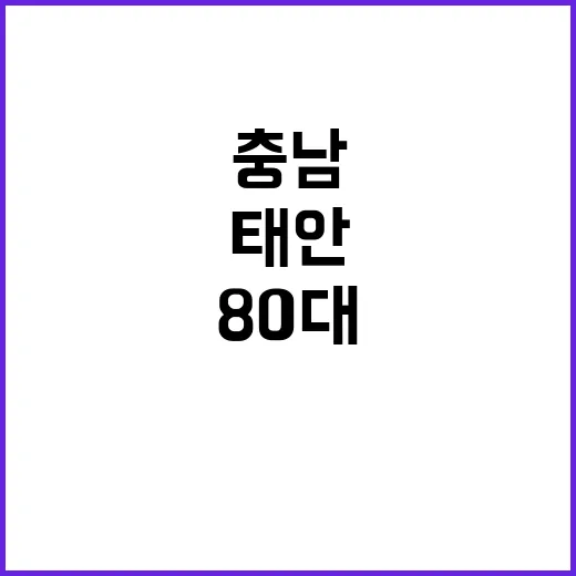 온열질환 태안 80…