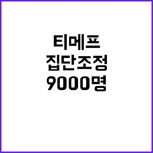 티메프 집단조정 9000명 규모의 충격적 스토리!