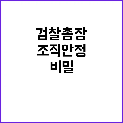 검찰총장 기획통 임…