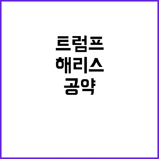 팁 면세 공약 해리…