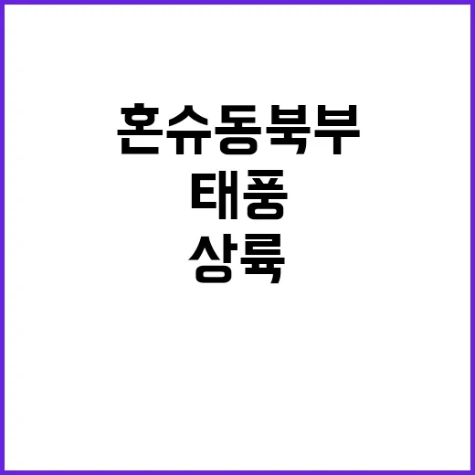 태풍 혼슈 동북부 …