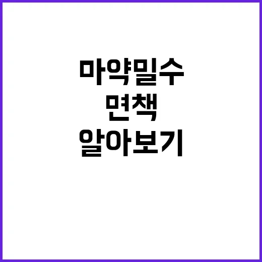 부정선거 美의 마약 밀수 면책 제안 알아보기