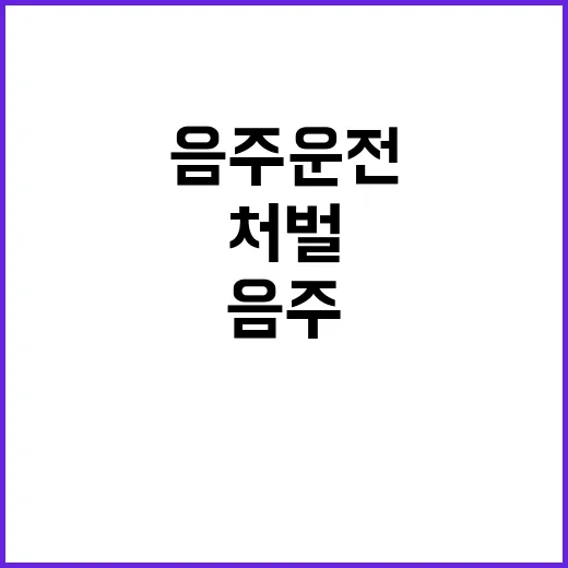 음주운전 처벌 가족…