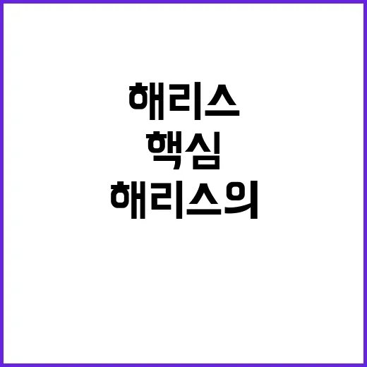 세수 감소…해리스의…