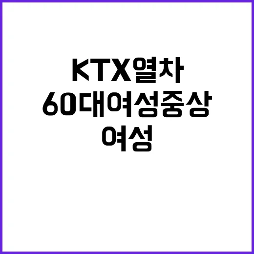 KTX 열차 사고 60대 여성 중상으로 병원행!