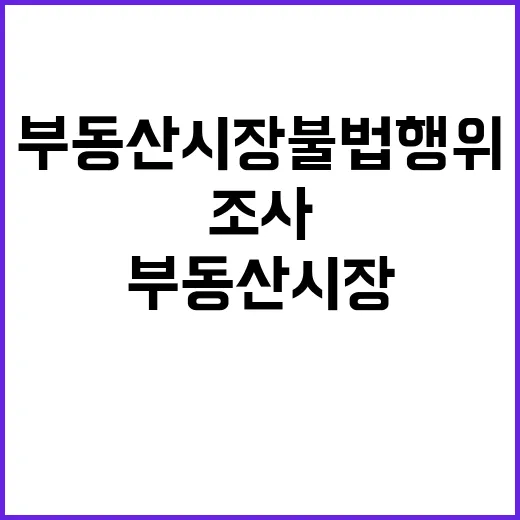 부동산 시장 불법행위 조사로 가격 상승 단속!