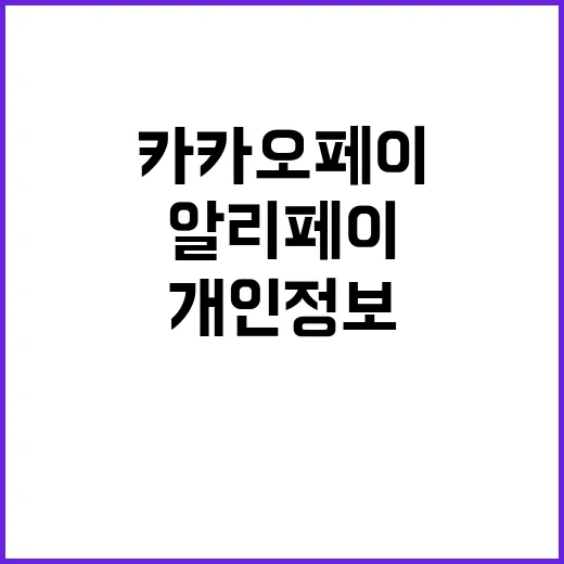 개인정보위 알리페이 유출 카카오페이에 자료 제출 요구!