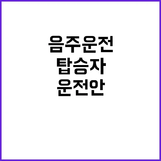 음주운전 사고 탑승자들 난 운전 안 해!